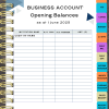 Mid-Year 2025 Blue and White Digital Financial Planner