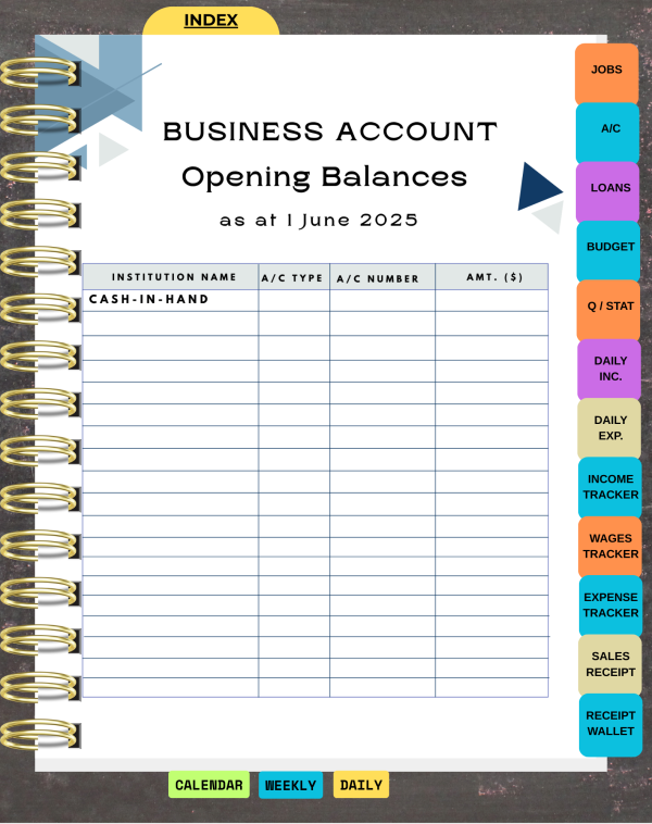 Mid-Year 2025 Blue and White Digital Financial Planner